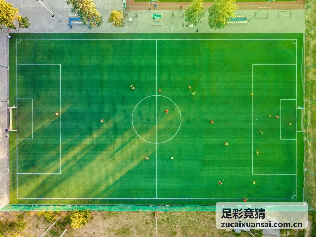 足彩竞猜数据解读